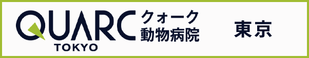 QUARC クォーク動物病院 名古屋
