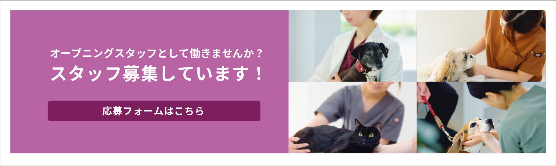 オープニングスタッフとして働きませんか？スタッフ募集しています！