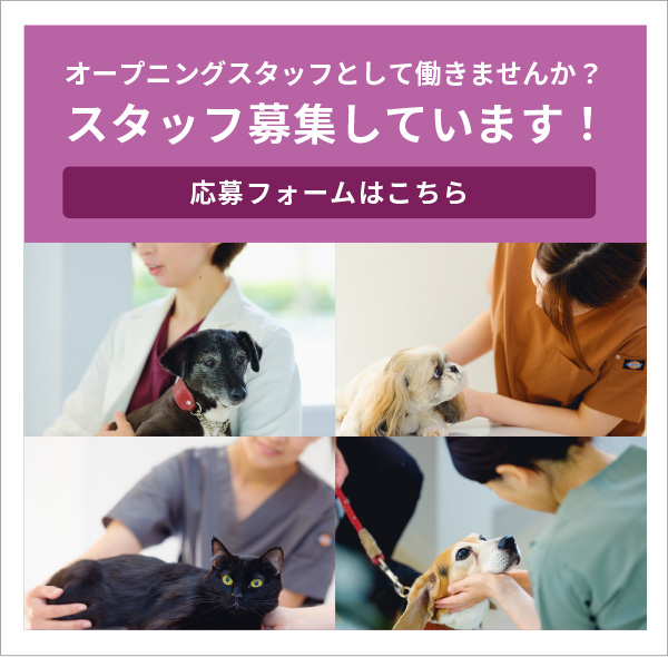 オープニングスタッフとして働きませんか？スタッフ募集しています！